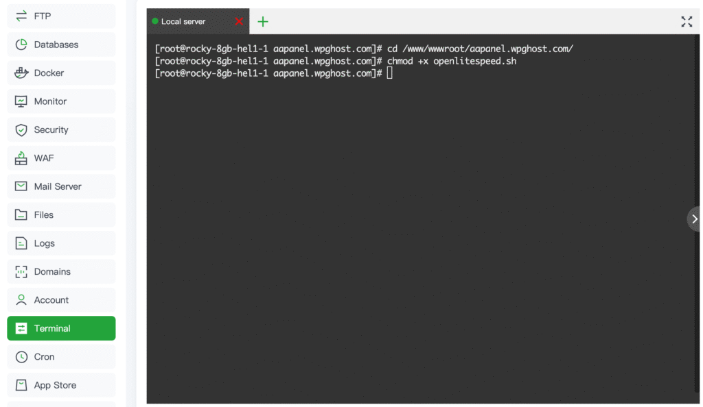 aaPanel terminal showing chmod +x and the script ready to execute