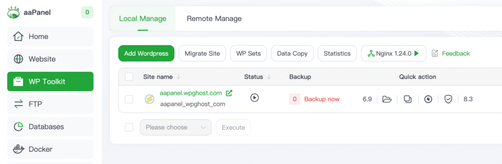 aaPanel WP Toolkit showing website list with domain and root folder link